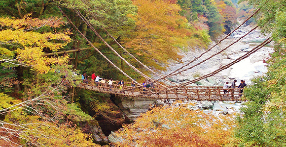 祖谷のかずら橋